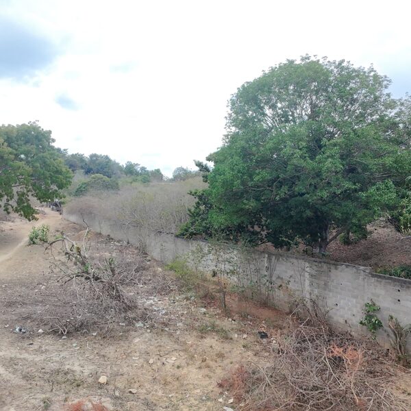 Terreno en la mora Cabudare