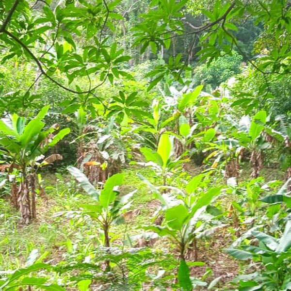 Terreno en Naguanaga
